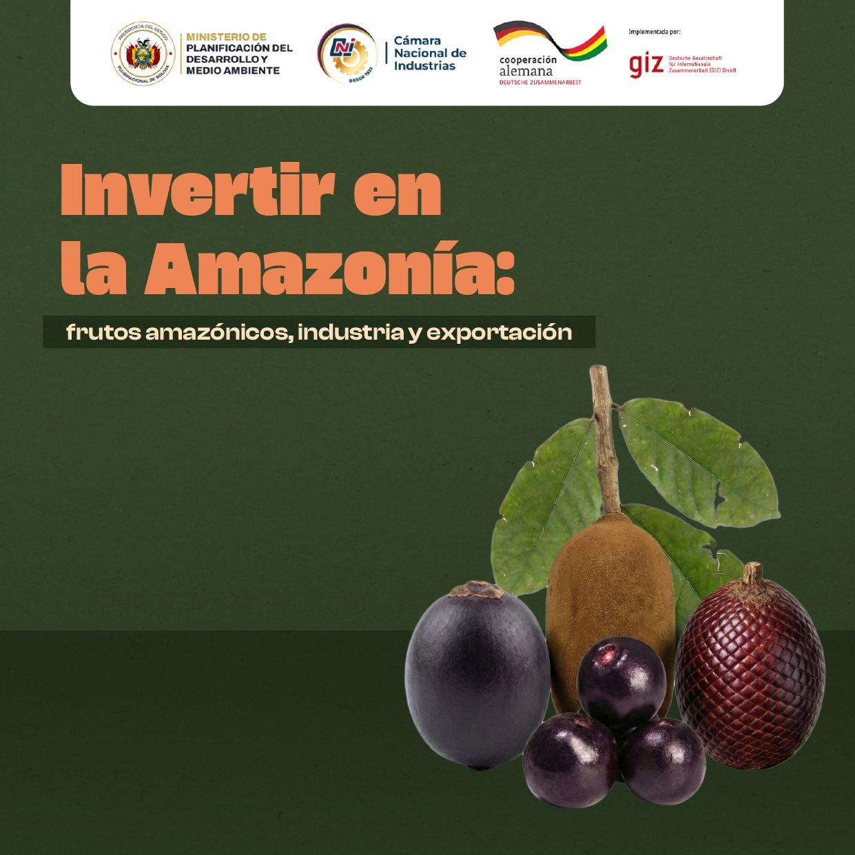 INVERTIR EN LA AMAZONIA